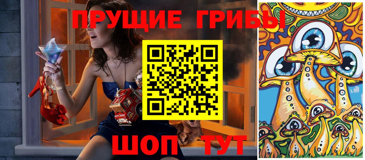 Псилоцибиновые грибы Cubensis Балашов
