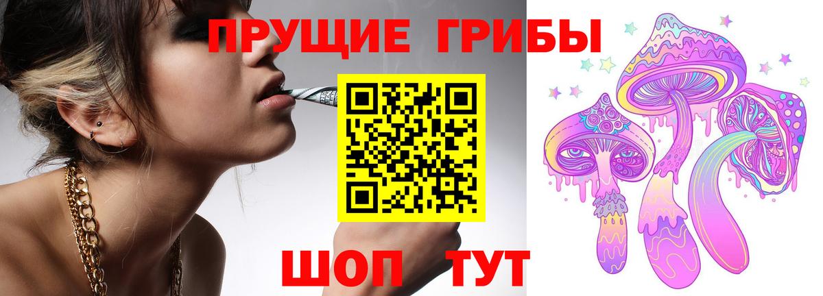 Балашов  цена наркотик  Вход с VPN  Псилоцибиновые грибы MAGIC MUSHROOMS 
